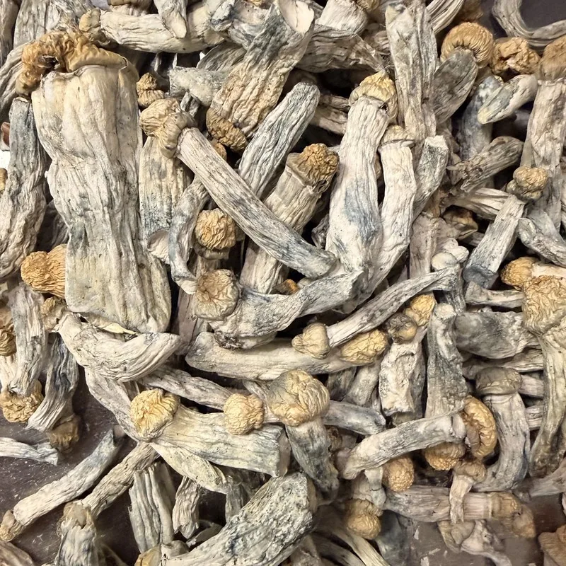 Albino Penis Envy — locally cultivated specialty variety