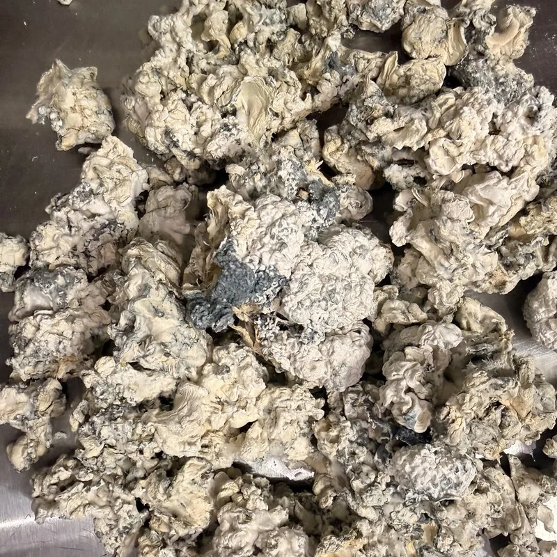 Blue Brains — locally cultivated specialty variety