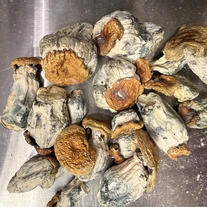 Hillbilly Pumpkin — locally cultivated specialty variety