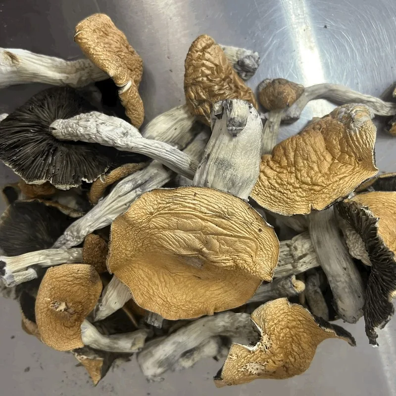 Machine Elf — locally cultivated specialty variety