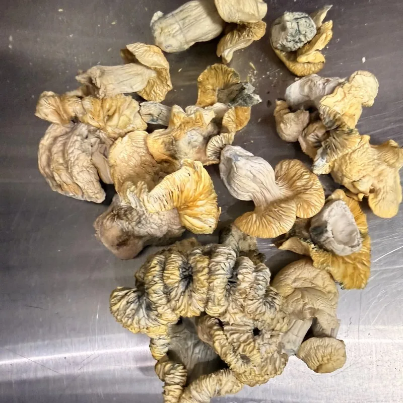 Mad Hatter — locally cultivated specialty variety
