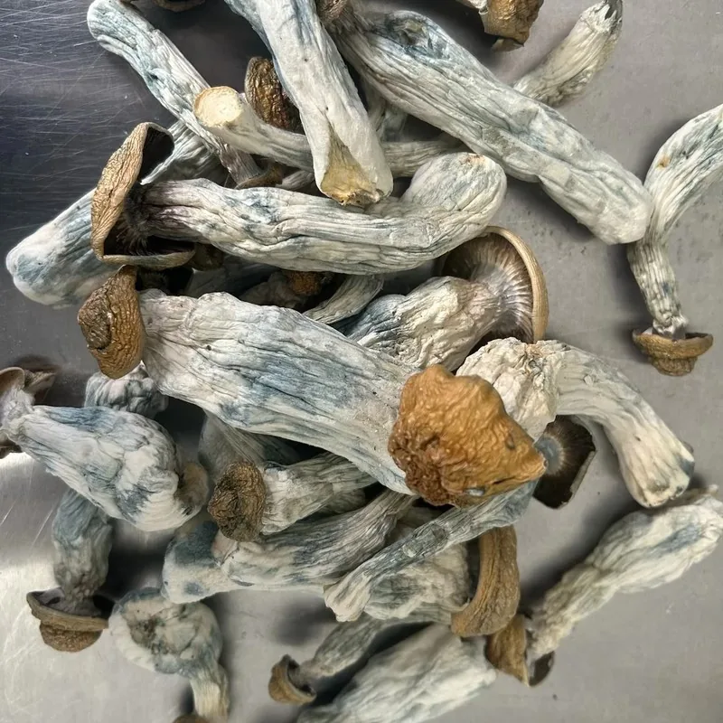 Melmac — locally cultivated specialty variety