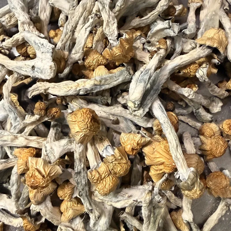Ol' Dirty Penis Envy — locally cultivated specialty variety