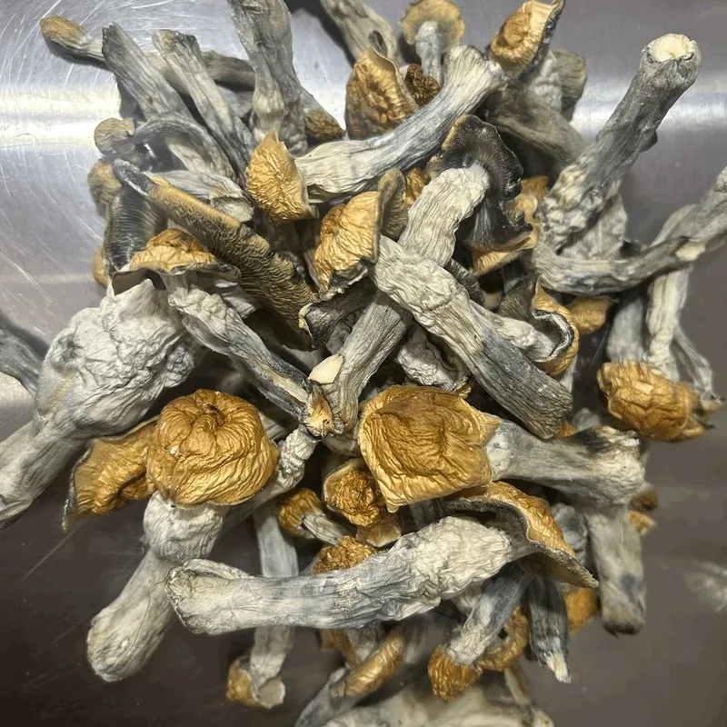 Penis Envy — locally cultivated specialty variety