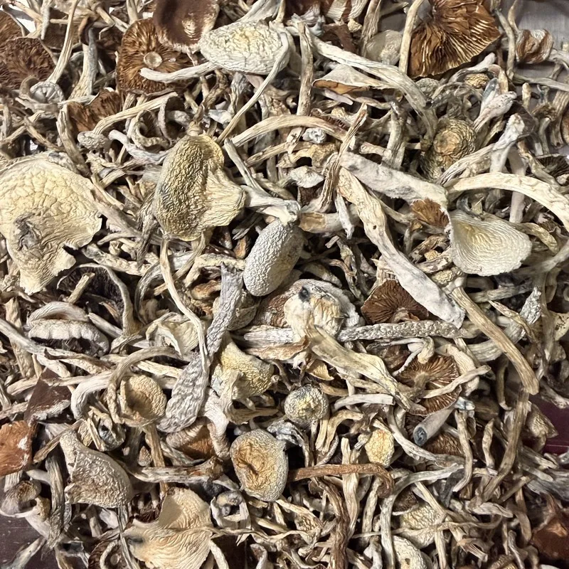 Tampanensis — locally cultivated specialty variety